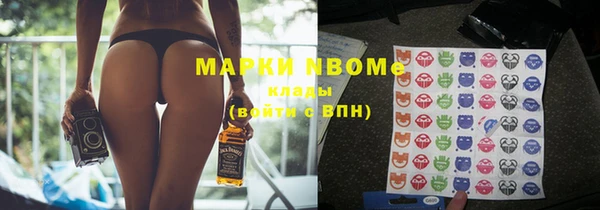 дурь Бородино