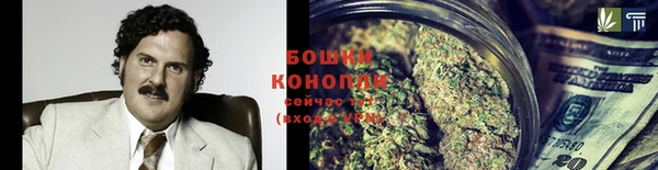 дурь Бородино
