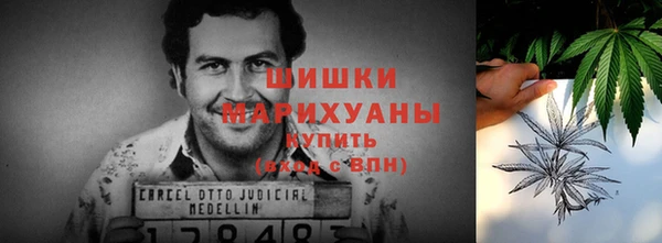 дурь Бородино