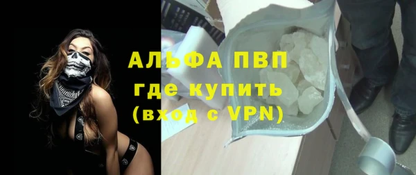 дурь Бородино