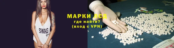 дурь Бородино
