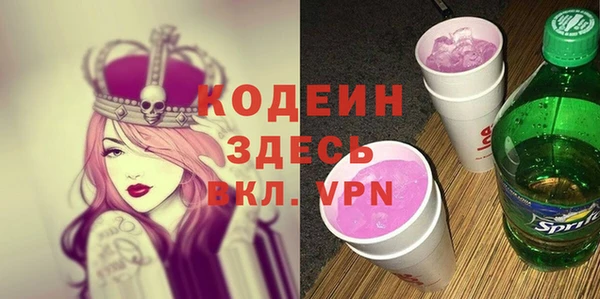 дурь Бородино