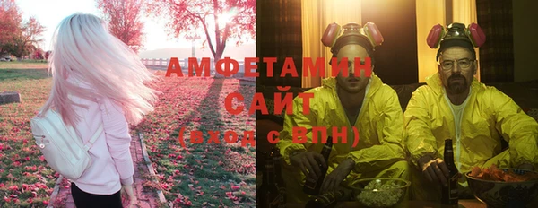 дурь Бородино