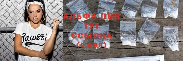 дурь Бородино