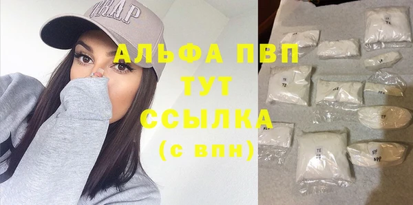 дурь Бородино