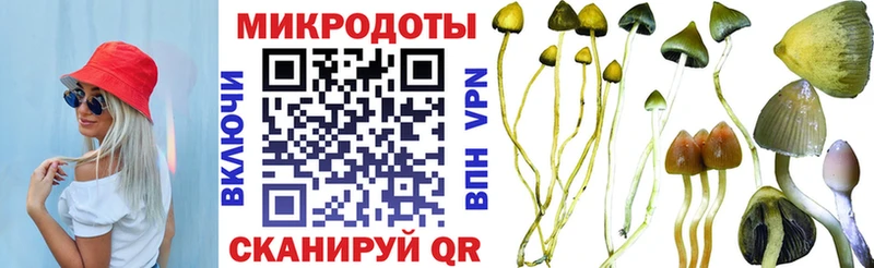 Галлюциногенные грибы MAGIC MUSHROOMS  Улан-Удэ 